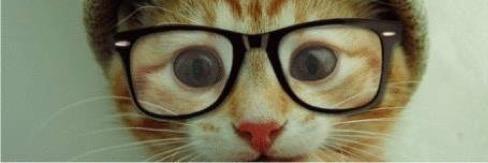 clarepooley's profile banner image