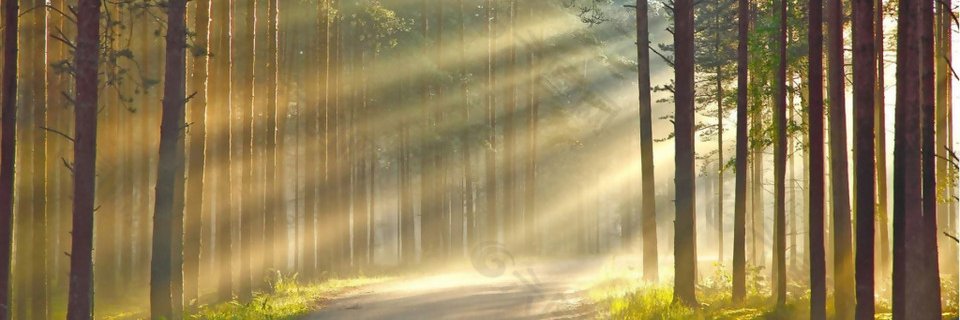 Tiger5z2's profile banner image
