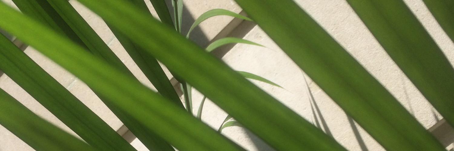 clivewatson73's profile banner image