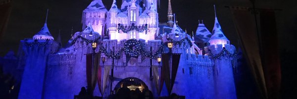 zrivera29 Profile Banner