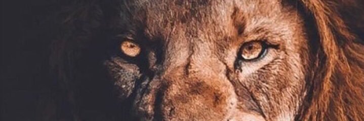 MartaGayol's profile banner image