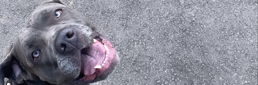 kayymess's profile banner image
