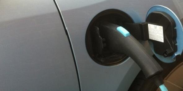 David Wilkins banner