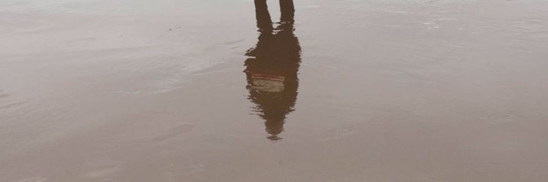 Zane Starr 🌠 banner