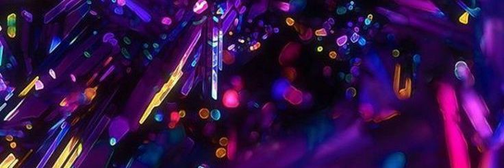 Laura Silveira banner