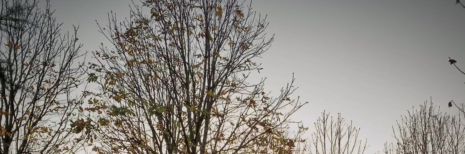 HuseyinNar's profile banner image