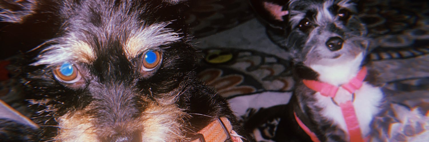 AlyGamez10's profile banner image