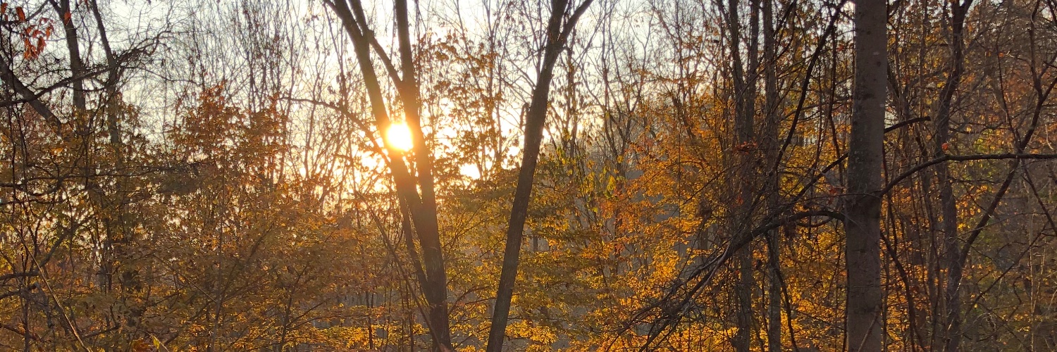 AustinGresser's profile banner image