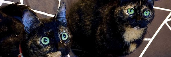 Juliethbee Profile Banner