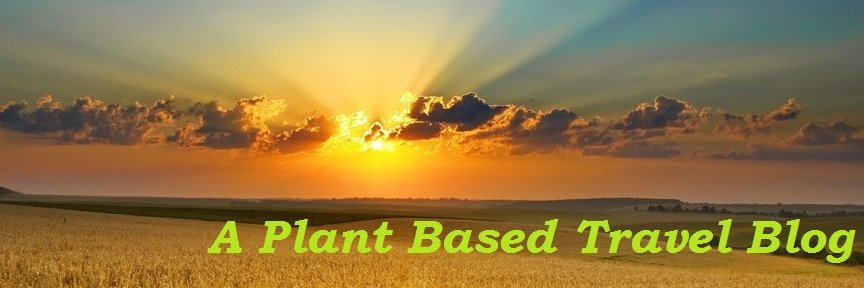 stevebrauer's profile banner image