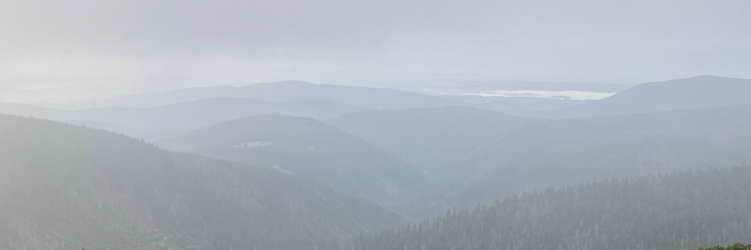 Jana Lipská banner