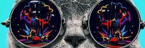 bernzz77's profile banner image