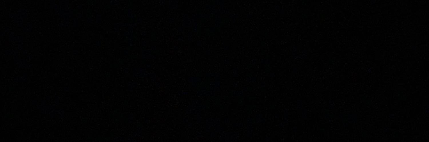Hüsarius banner