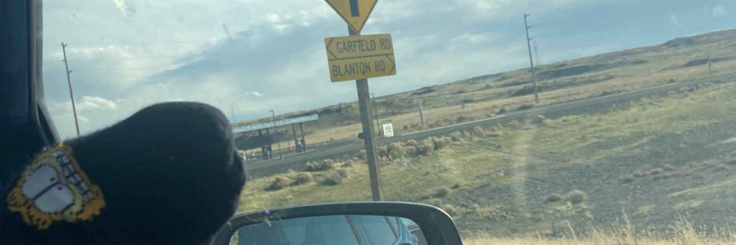 vomitroxy's profile banner image