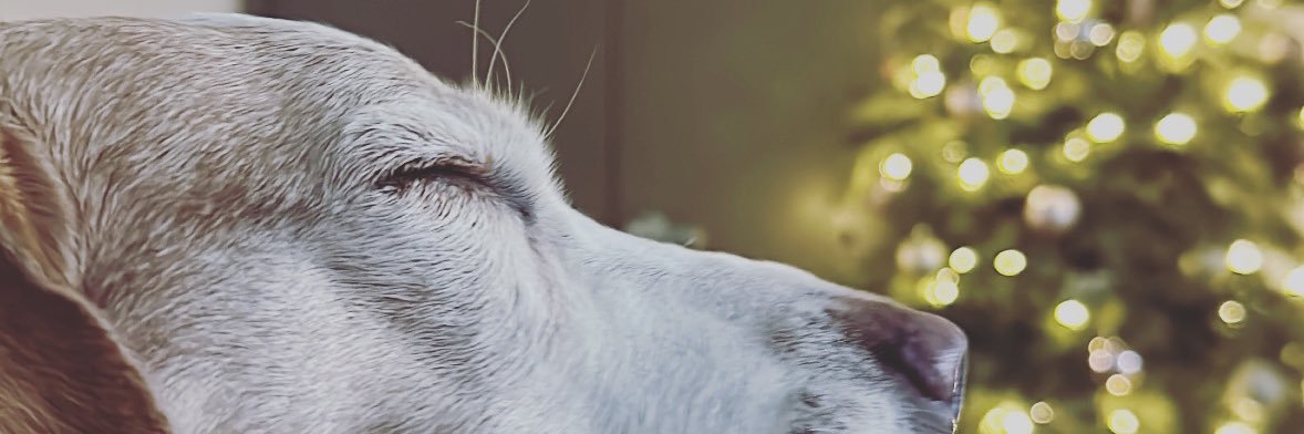 a_dyan23's profile banner image