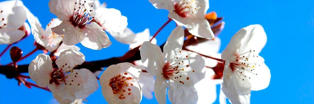 claudia__ma's profile banner image