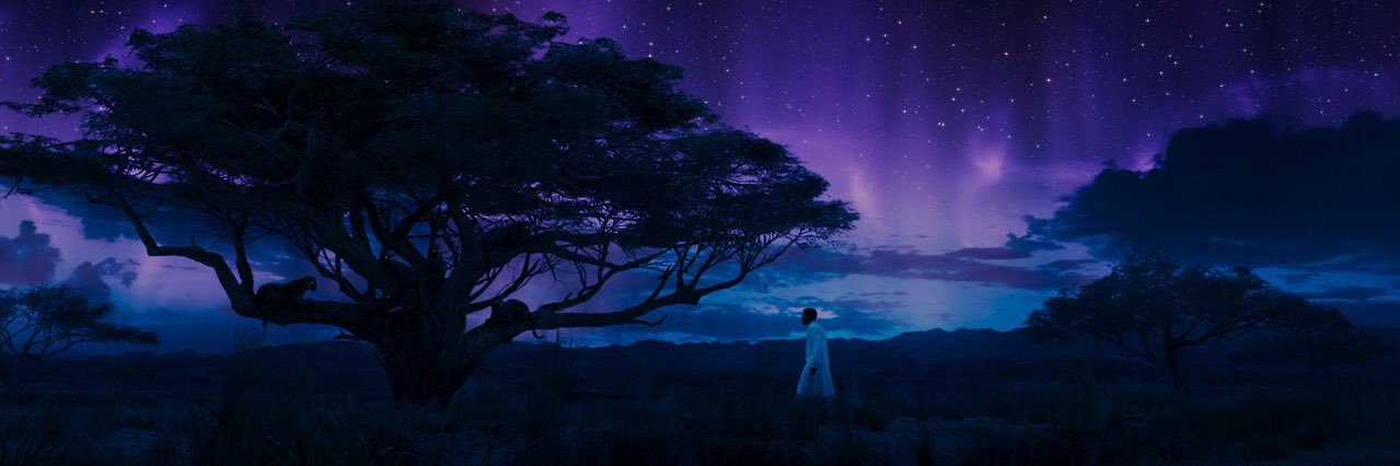 mdanworld's profile banner image