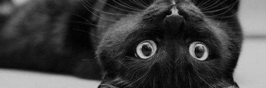 822Arevalo's profile banner image