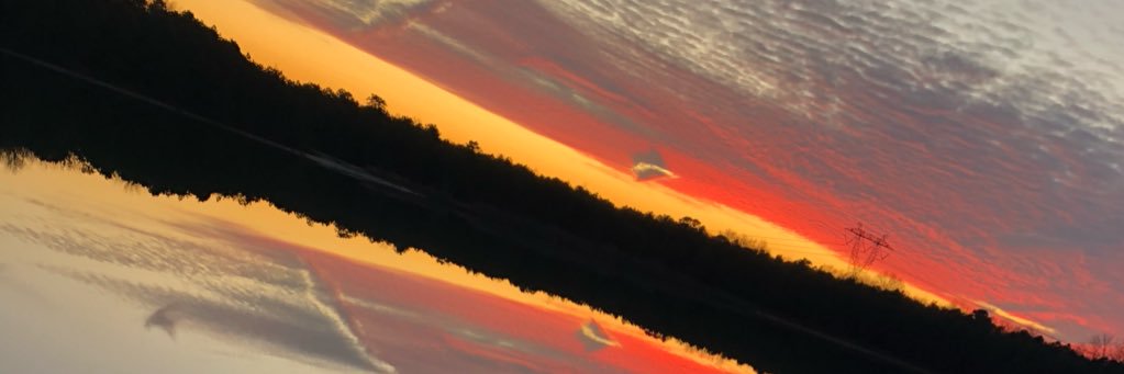tommysuski's profile banner image