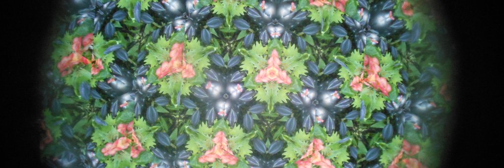FranMcLaugh's profile banner image