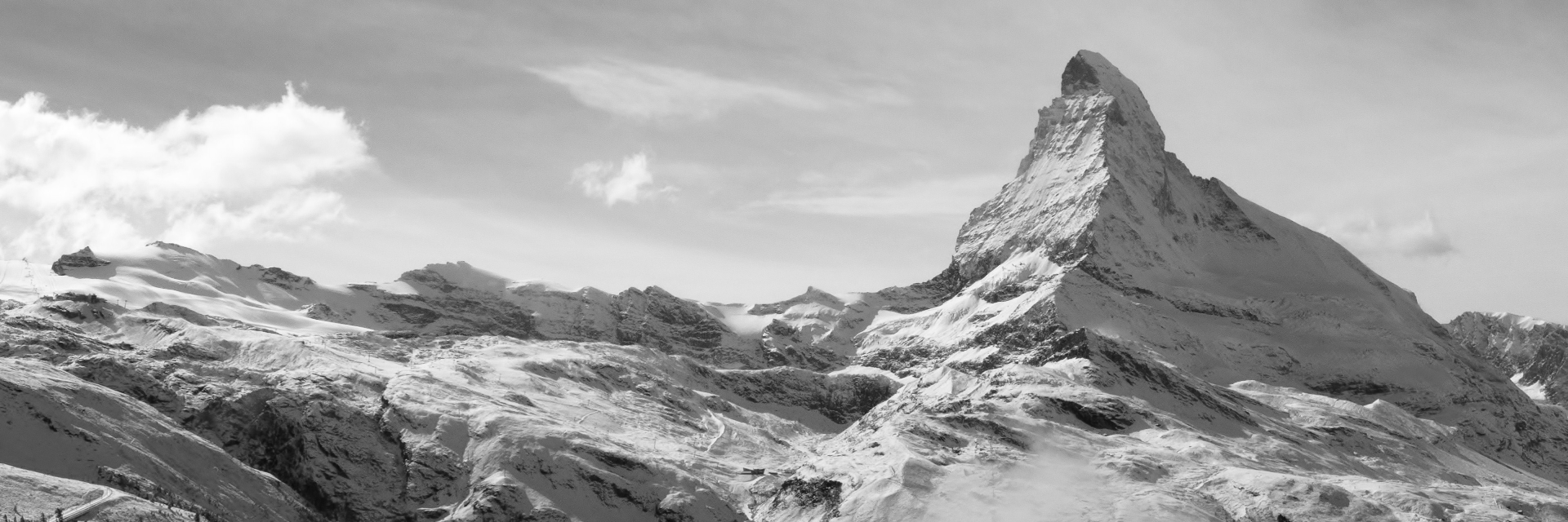 NewDo Venture banner