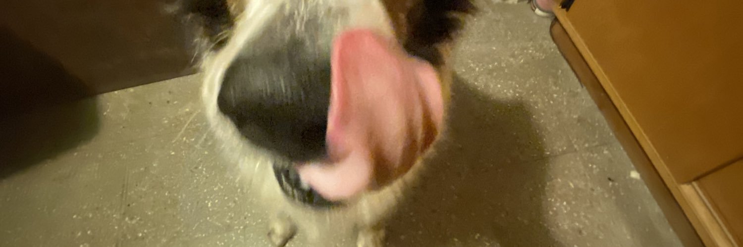 agooscerutti's profile banner image