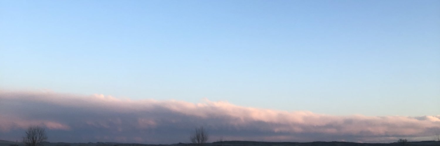 AdessaAnne's profile banner image