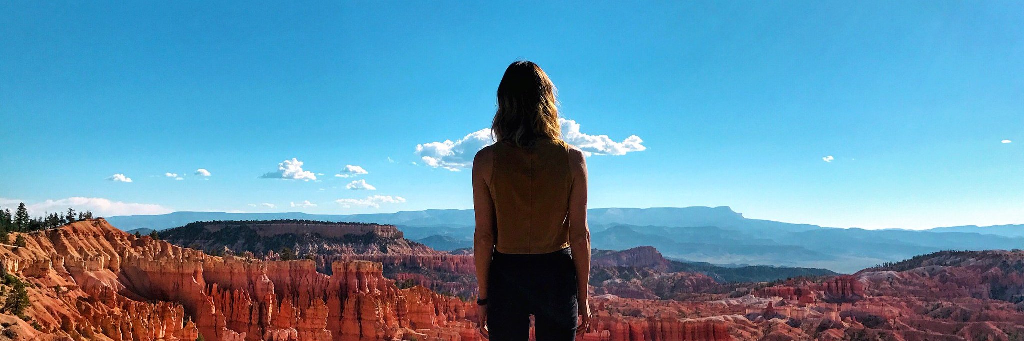 Al Goldman 🧚‍♀️ banner