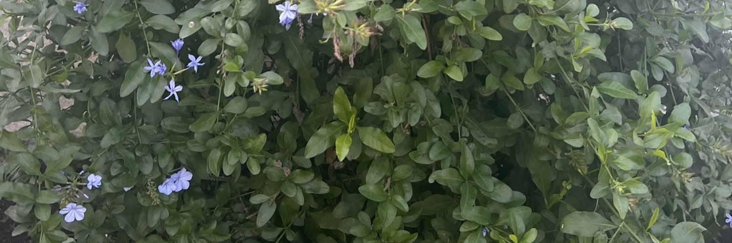 MartaFabbretti's profile banner image