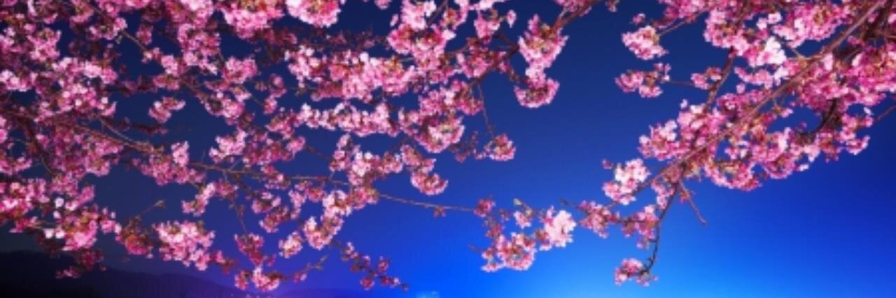 MeShell29's profile banner image