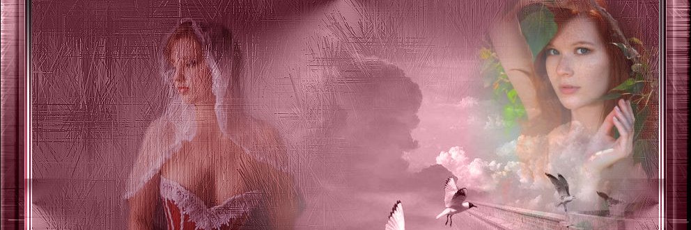 teswina's profile banner image