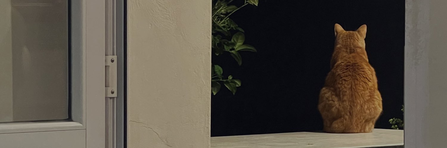 ____vicc's profile banner image