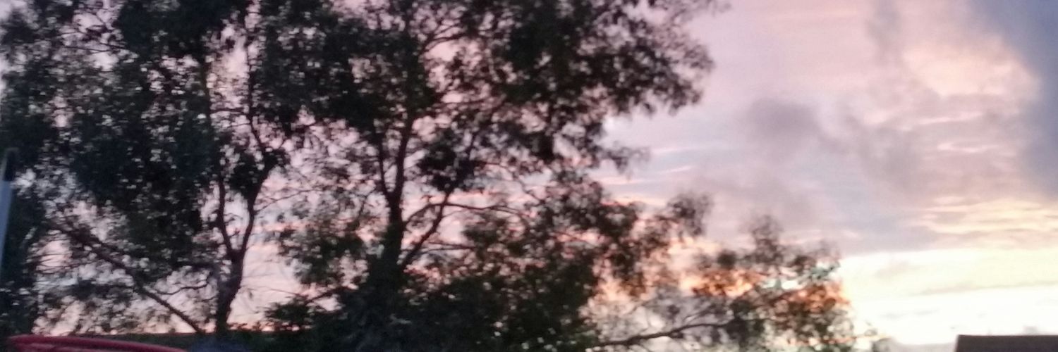 RHollender's profile banner image