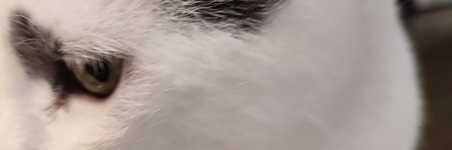 vanensumundo's profile banner image