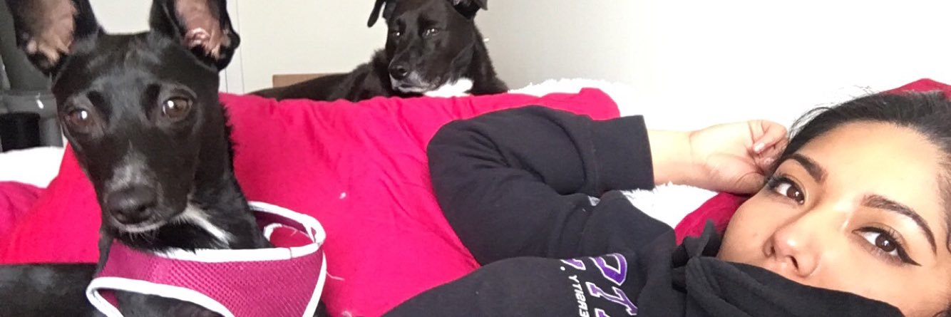 missdaizee0's profile banner image