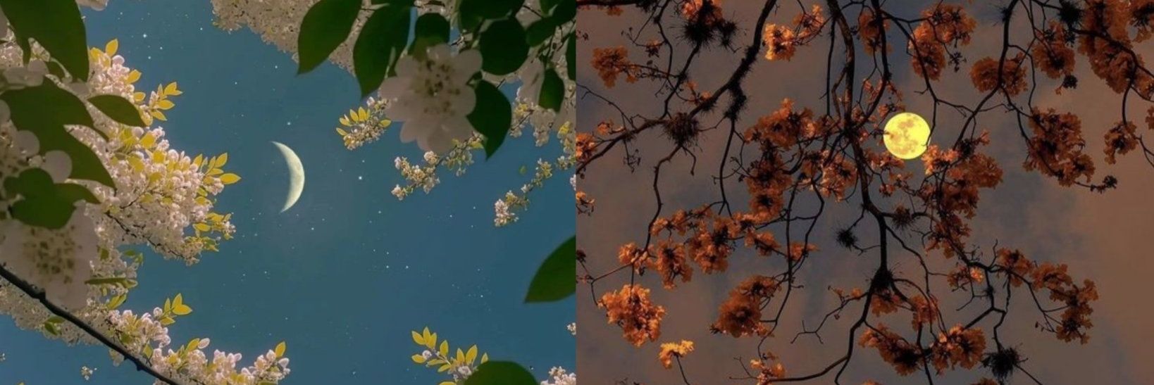 PattyAChB's profile banner image