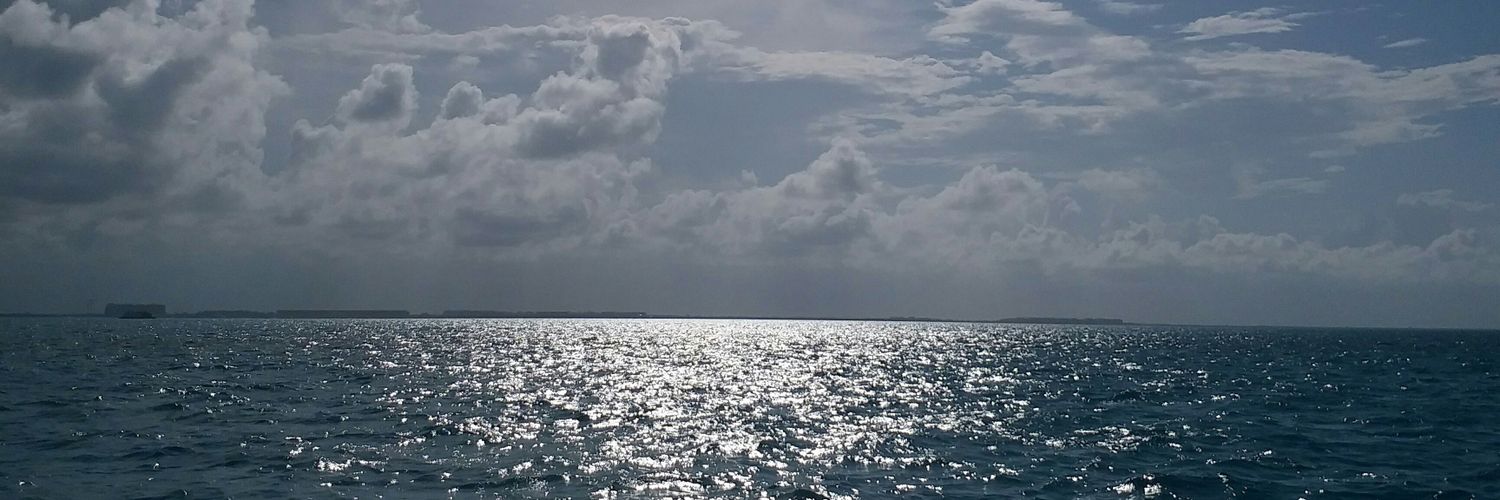 SonParmar's profile banner image