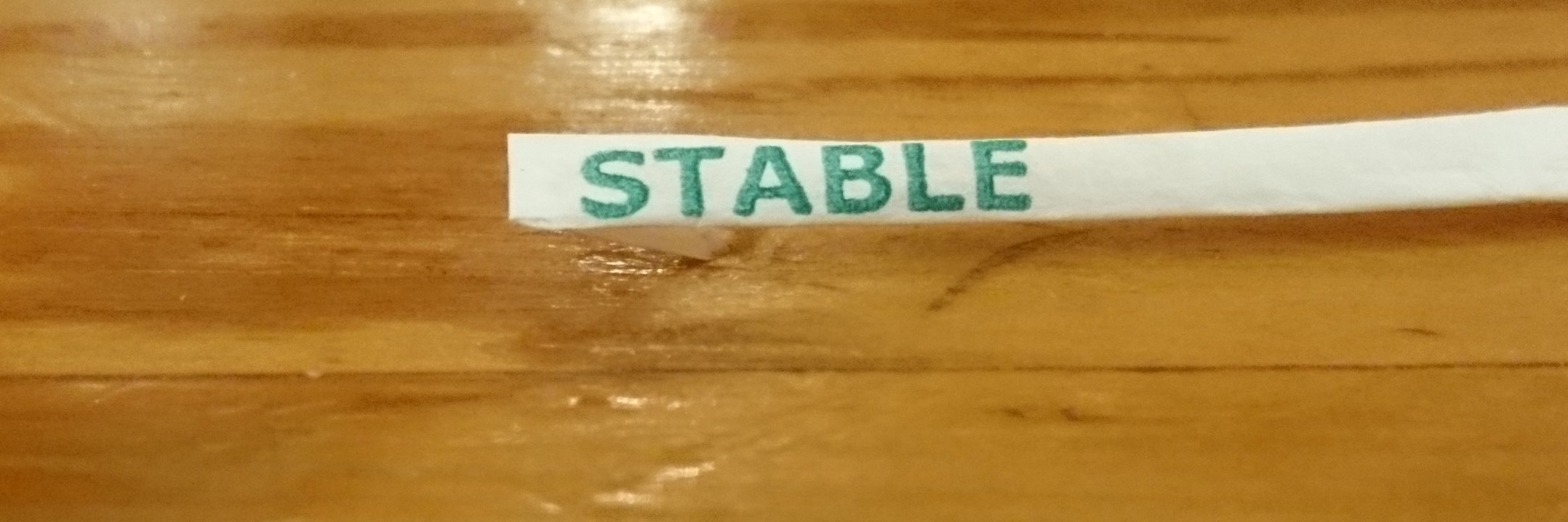 Nancy Fischer banner