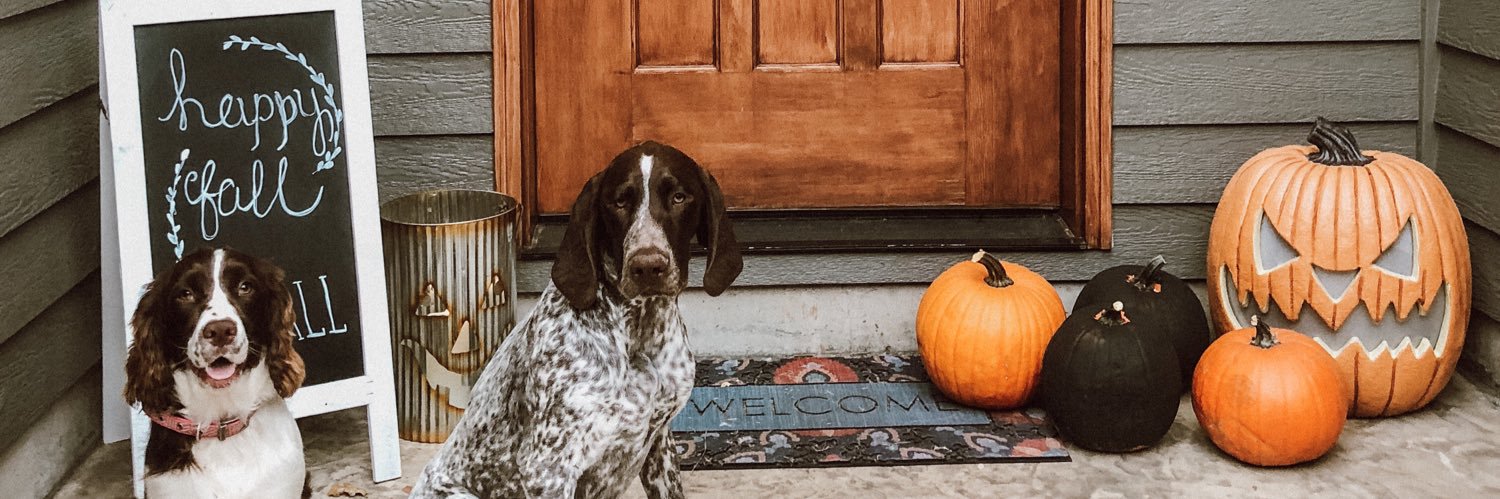 breepperson's profile banner image