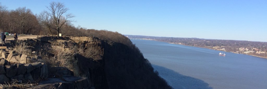 Robert Holzer banner