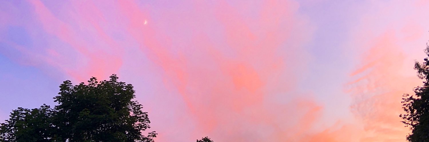 LilBoMo's profile banner image