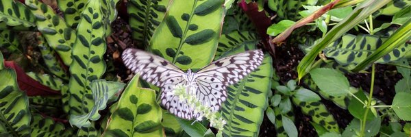 AmyHayward1979 Profile Banner