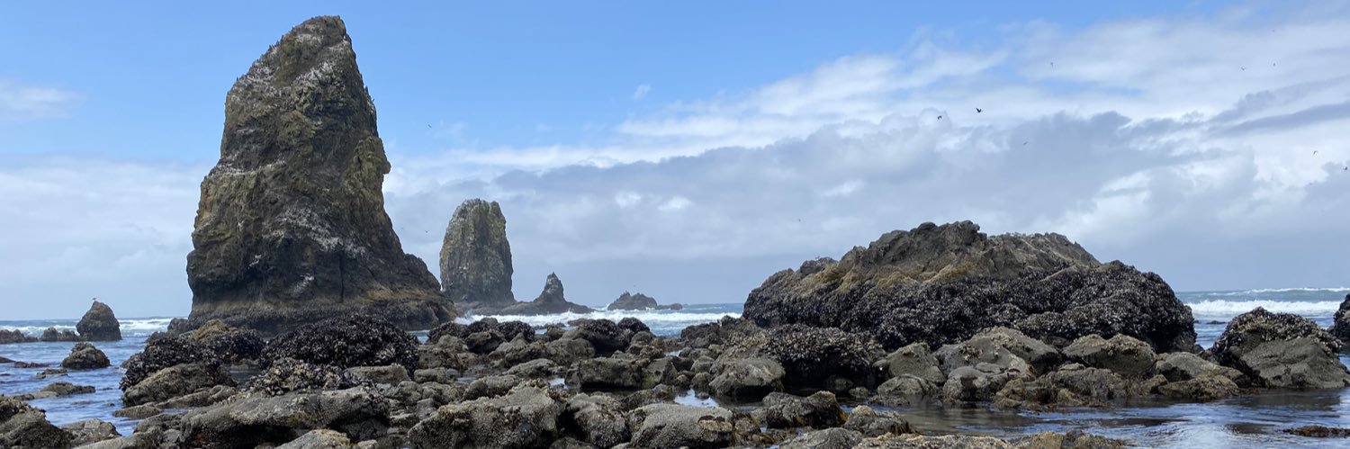 Justin Schieber banner