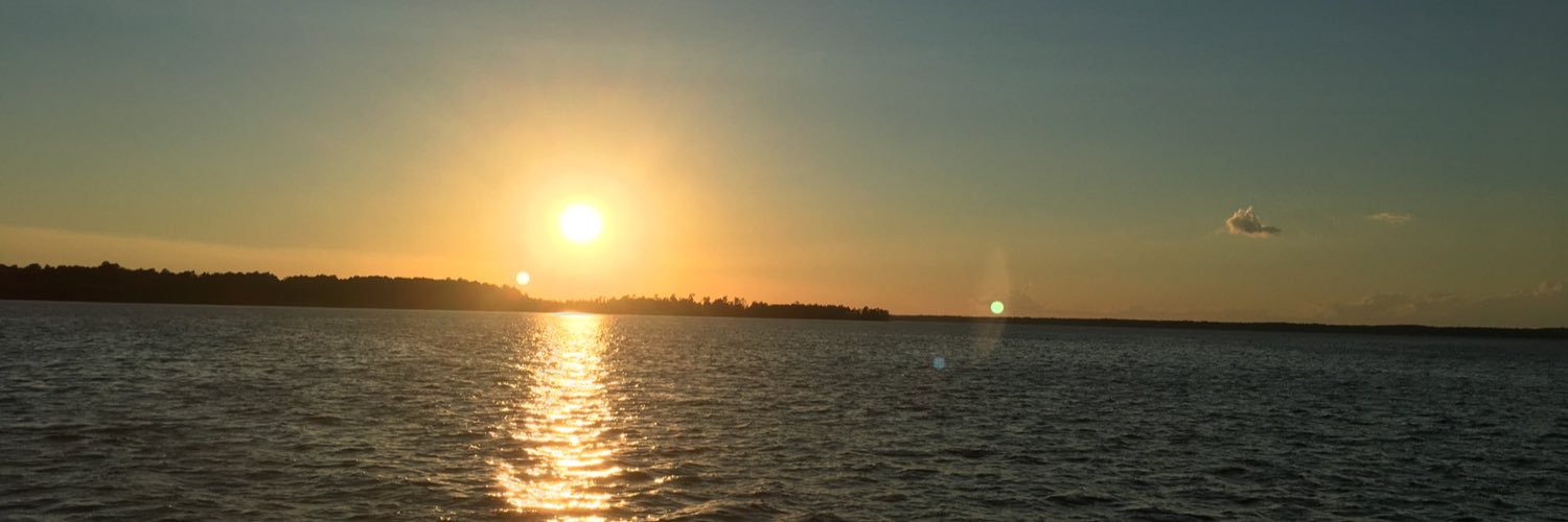 MaryLyonsvt's profile banner image