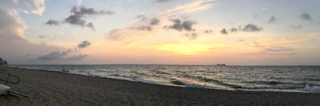 Sunflower🌻 banner