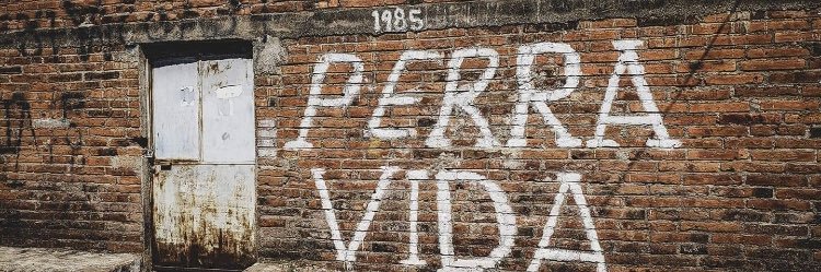 larry_911's profile banner image