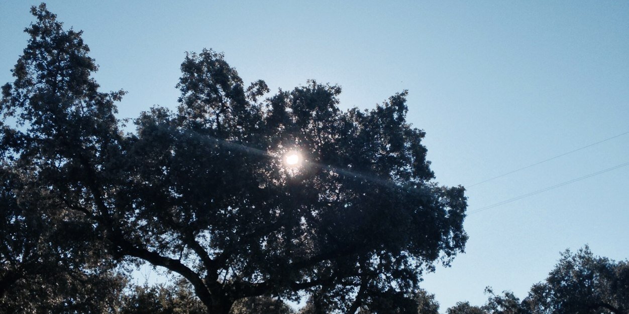 laragcam's profile banner image