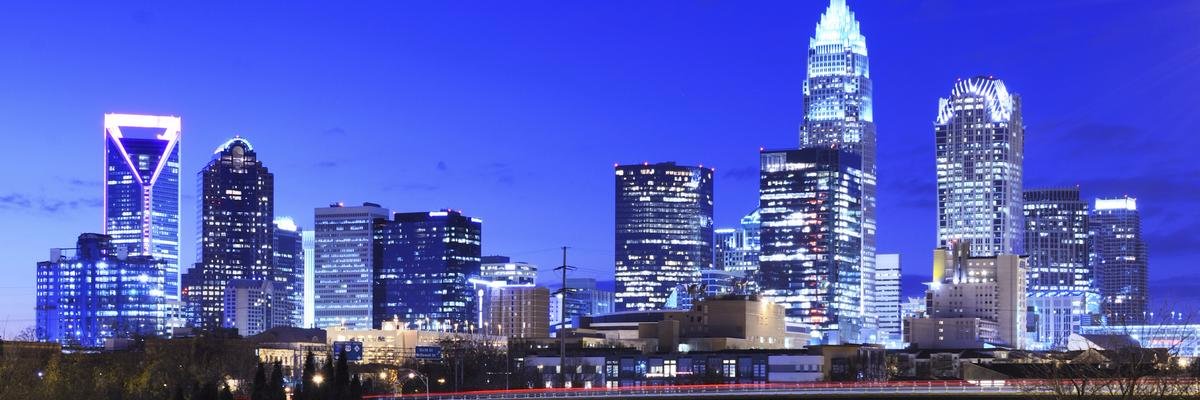 loripolley's profile banner image
