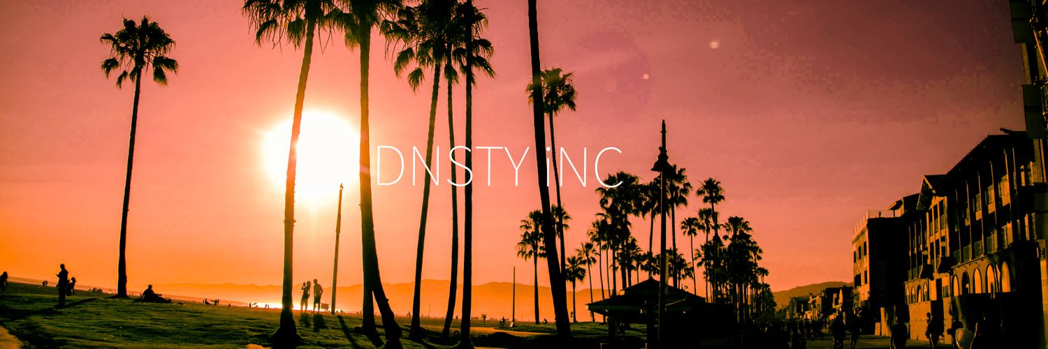 dnsty_inc's profile banner image