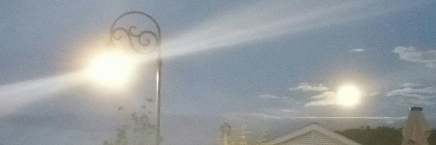 👑🐯Queen Eppie Sunrise⚪: ψ(x,t) banner